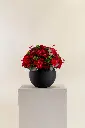 0F8A6780.webp