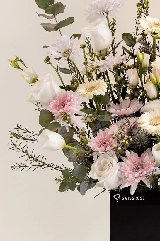 closeup_1.webp
