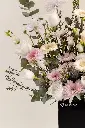 closeup_1.webp