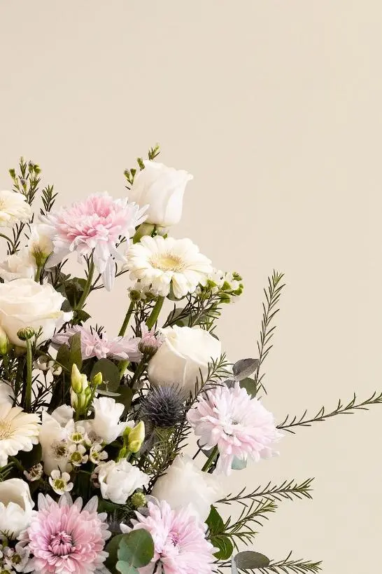 closeup_2.webp