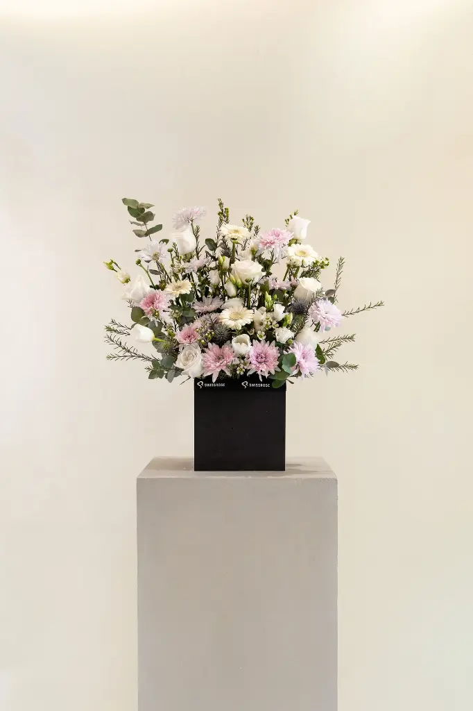 0F8A6790-Edit.webp