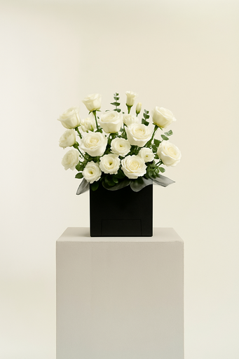 [SR-002] White Elegance Box
